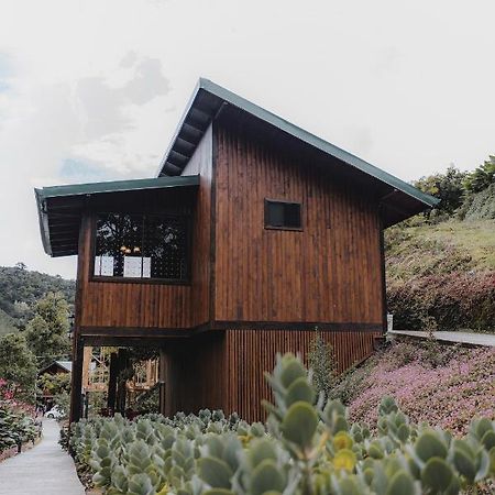 Lauraceas Lodge 산제라르도 데 도타 외부 사진