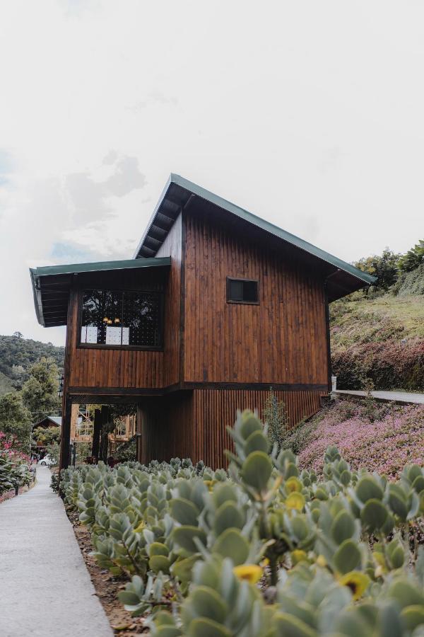 Lauraceas Lodge 산제라르도 데 도타 외부 사진